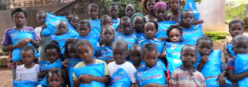 Help Provide a Mosquito Net and Save a Life