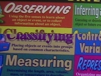 A2Z school Supplies