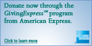 Donate using American Express