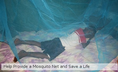 Beneficiary under his new mosquito net Beneficiary under his new mosquito net