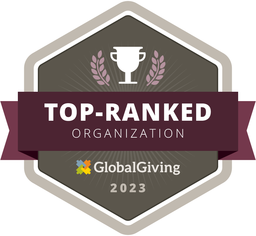 Effective and top-ranked nonprofit organization