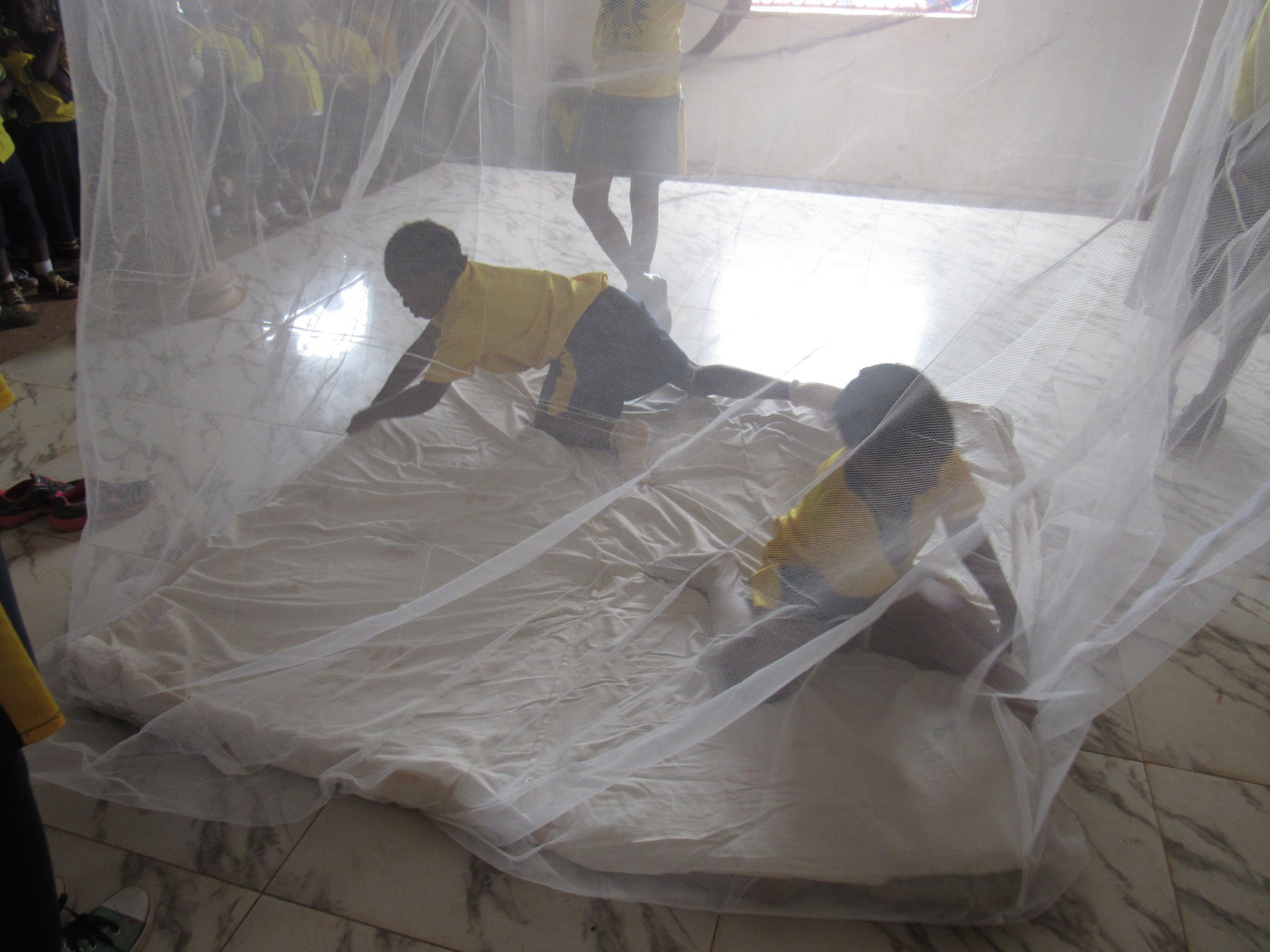 Bednets protecting students from malaria 